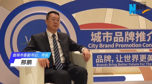 邢鹏：坚持创新驱动 打造高质量发展“新引擎”